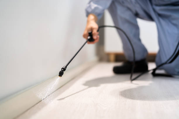 Licensed Pest Control service in Healdton, OK - Show Me Pest Control