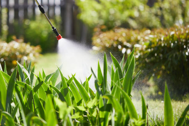 24/7 Emergency Mosquito Control experts in Healdton, OK